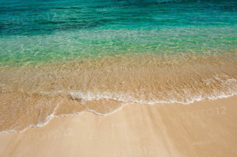 Sea wave on tropical beach