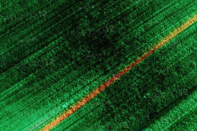 Green and yellow abstract background
