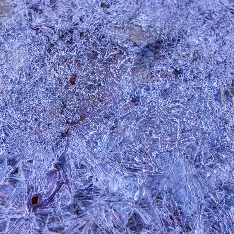 Frozen creek in winter in Zion National Park