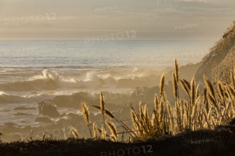 Waves on Big Sur coast