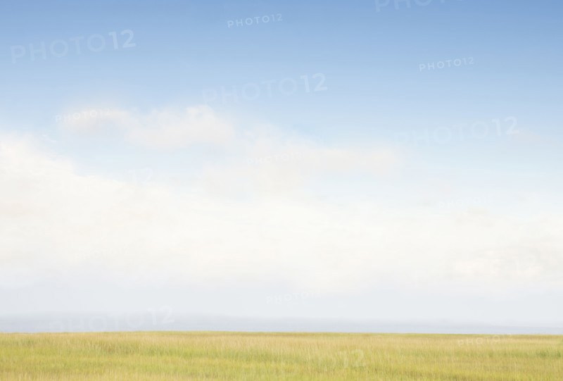 Sky above grass near beach