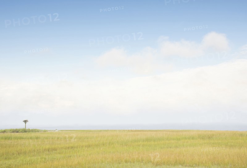 Sky above grass near beach