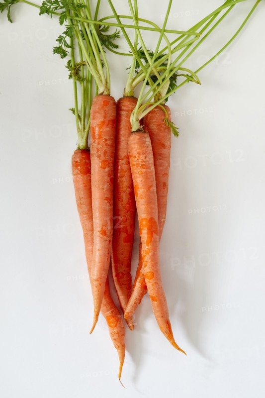 Overhead view of bunch of carrot against white background