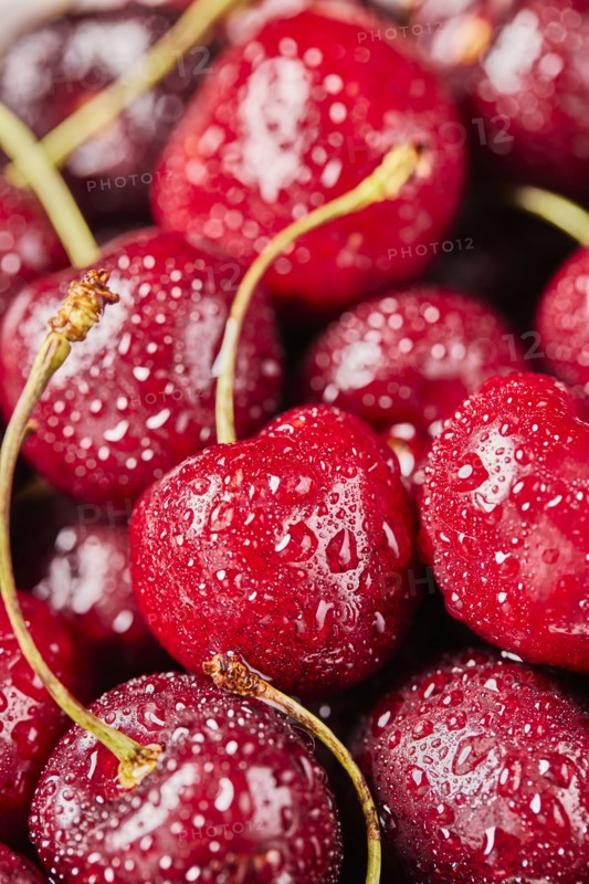 Close-up of fresh cherries with water drops