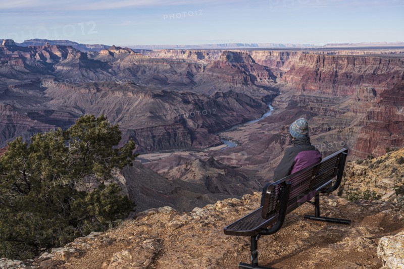 Rear view of female tourist sitting on bench in Grand Canyon National Park