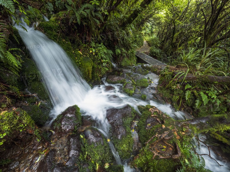 Waterfall in forest