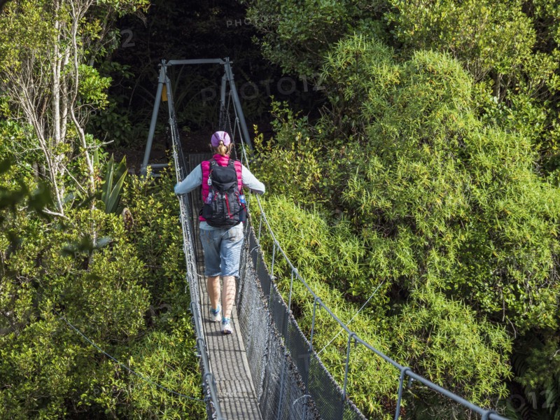 Hiker walking on rope bridge in forest