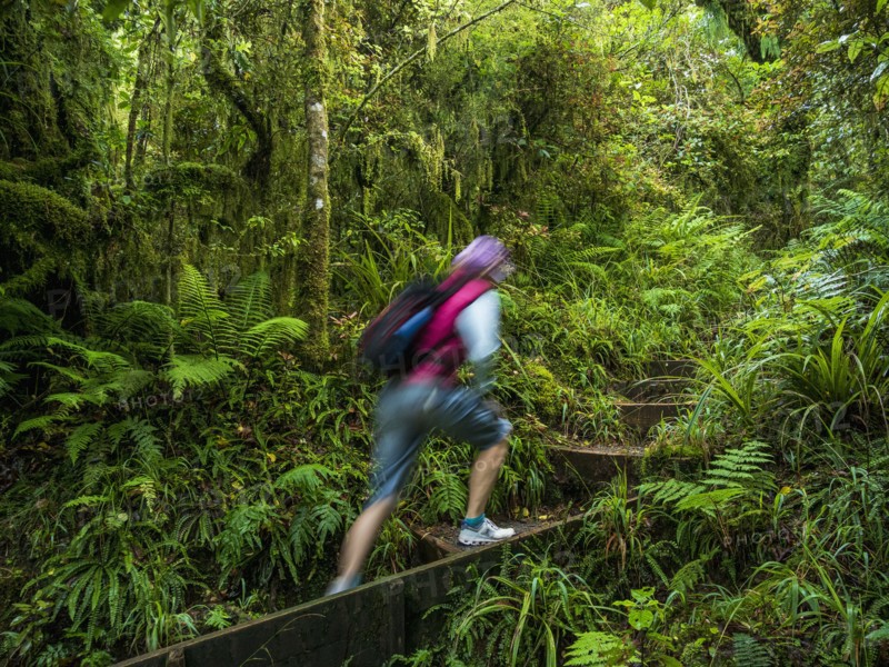 Hiker walking on stairs in forest