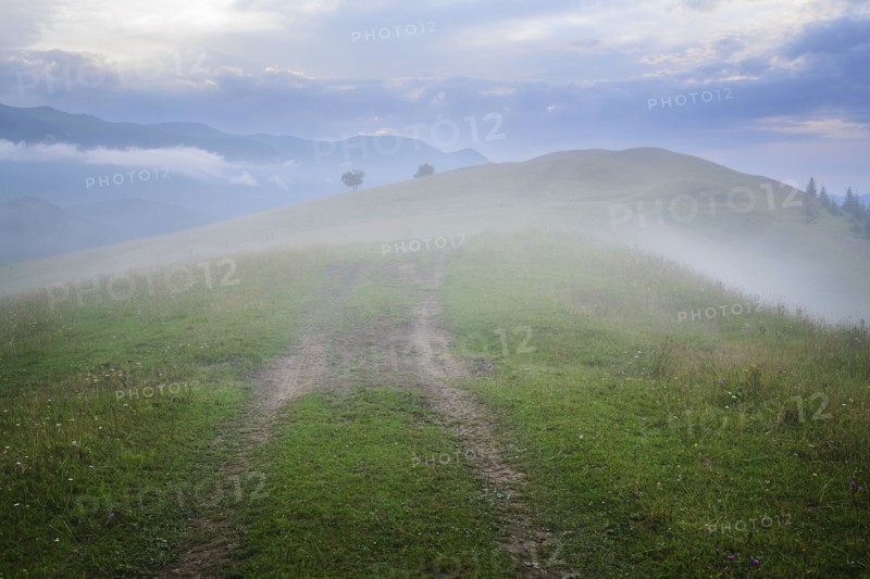 Fog over green landscape in Carpathian Mountains