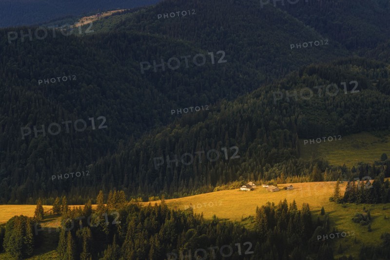 Cottages among mountains in Carpathian Mountains