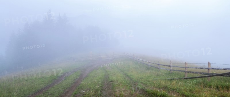 Foggy rural landscape in Carpathian Mountains