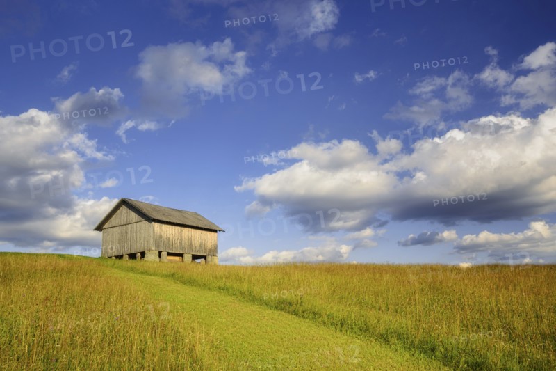 Wooden hut in rural landscape in Carpathian Mountains