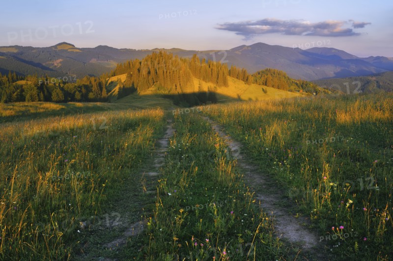 Dirt road in Carpathian Mountains at sunset