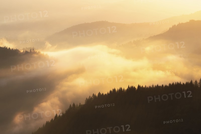 Foggy Carpathian Mountains landscape at sunset