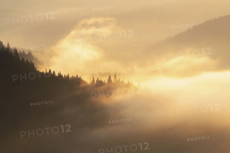 Foggy Carpathian Mountains landscape at sunset