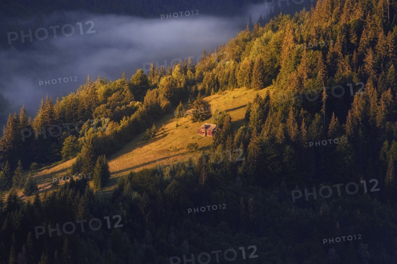 Sunlight rolling landscape in Carpathian Mountains at sunset