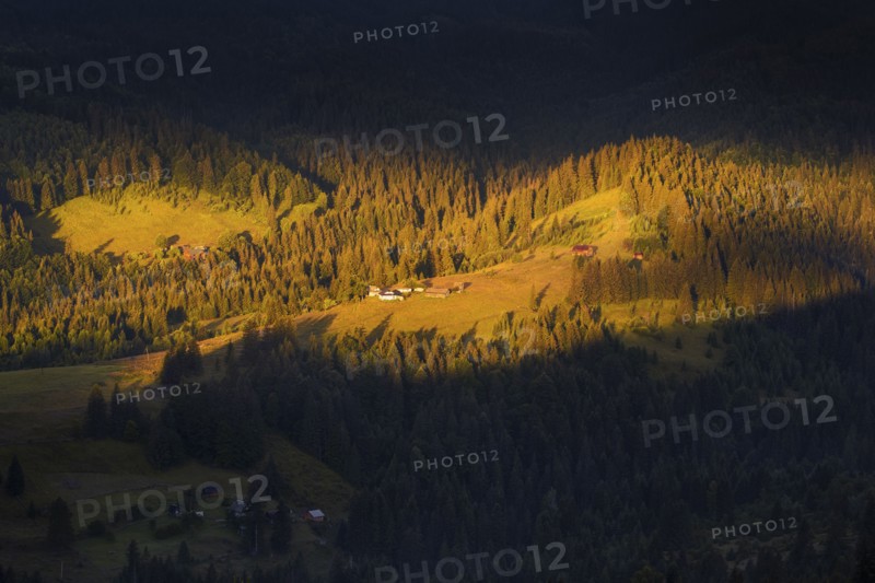 Sunlit rolling landscape in Carpathian Mountains at sunset