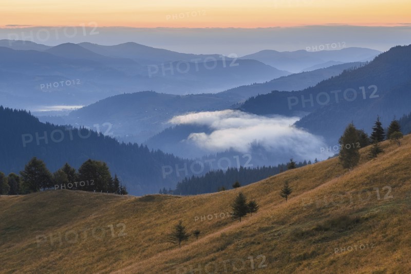 Rolling landscape in Carpathian Mountains at sunset
