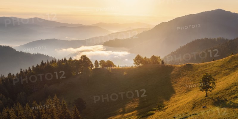 Rolling landscape in Carpathian Mountains at sunset