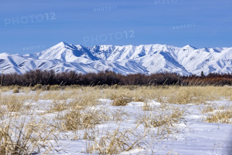 Scenic view of landscape with snowcapped mountain