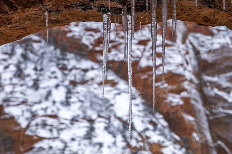 Close-up of icicles hanging from rock