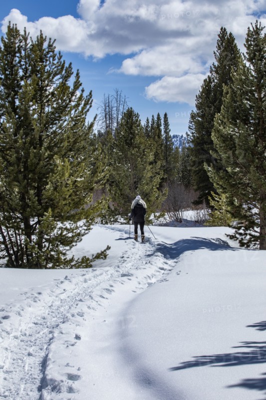 Senior woman hiking in snowy forest