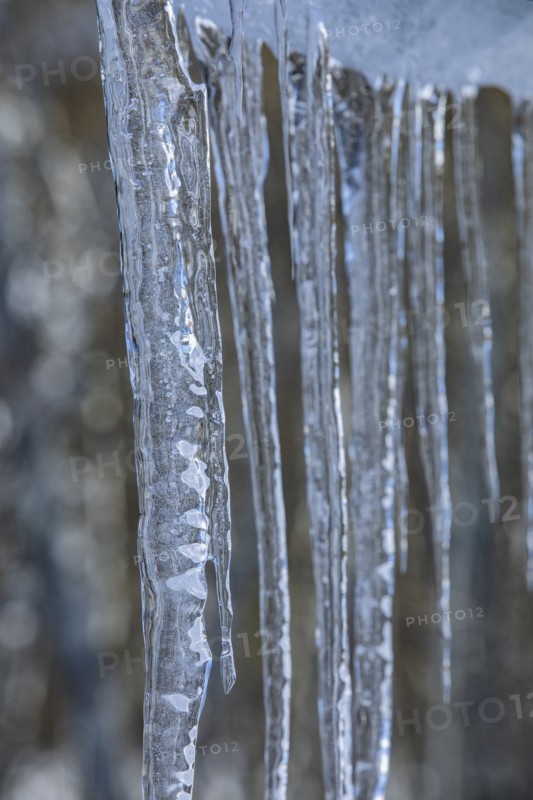 Close up of icicles in winter