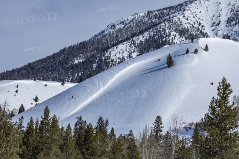 Snow-covered mountain slope with trees