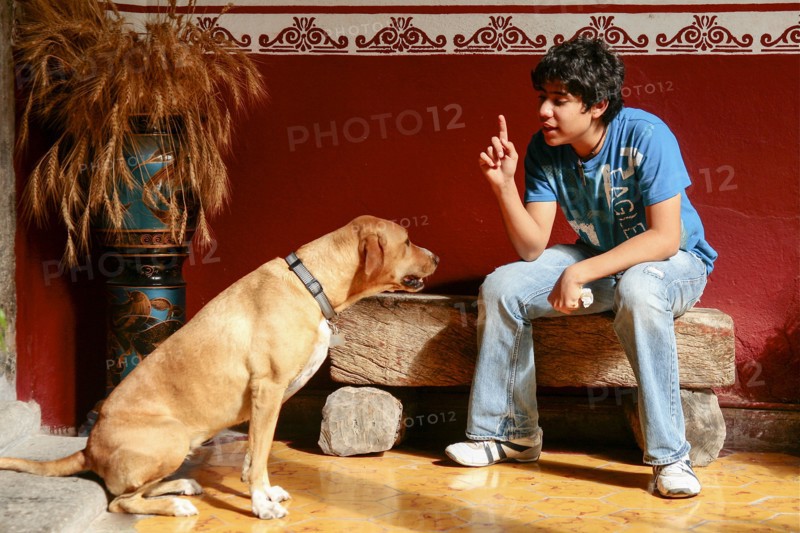 Boy sitting on stone bench and gesturing to dog