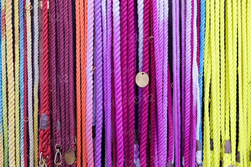 Multi-colored dog leashes hanging in row