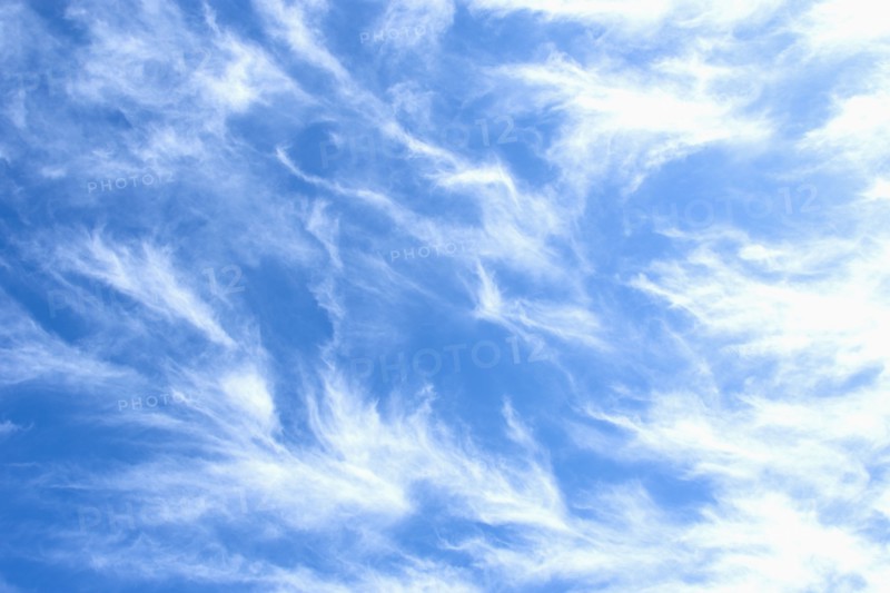 White Cirrus uncinus clouds against blue sly