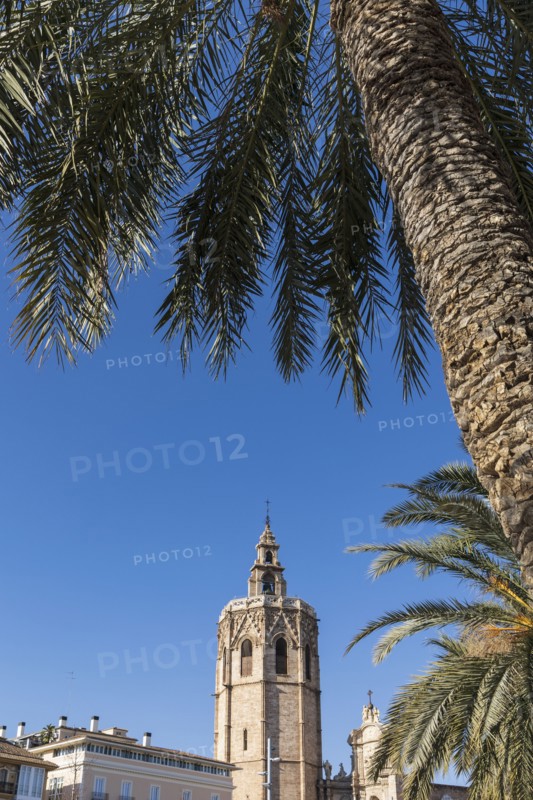 Bell tower of Valencia Cathedral and palm trees