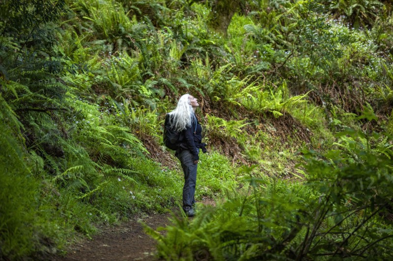 Senior woman hiking Dipsea Trail