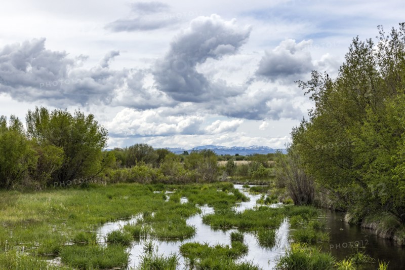 Landscape with small pond and mountains in background