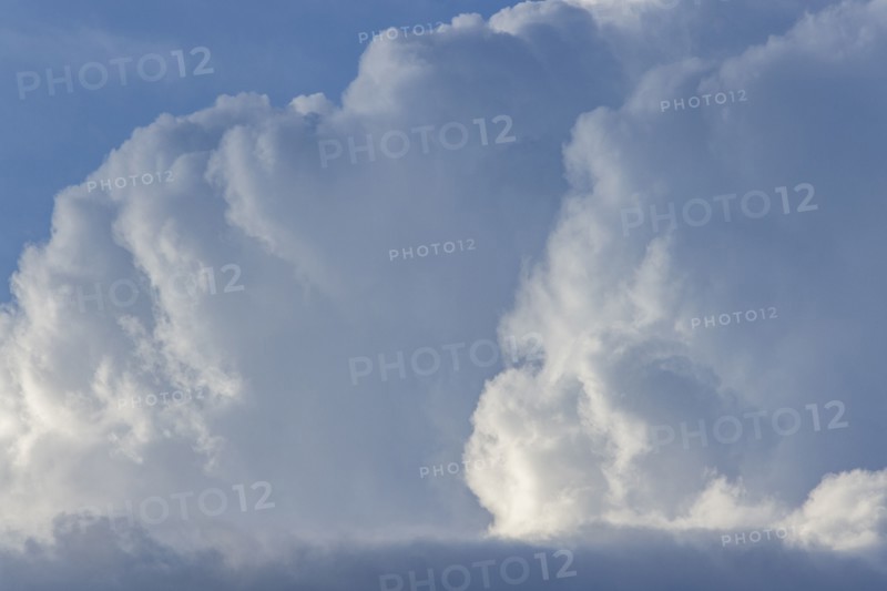 Majestic white cumulus clouds