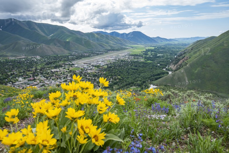 Scenic landscape with Arrowleaf Balsamroot along Carbonate Mountain Trail