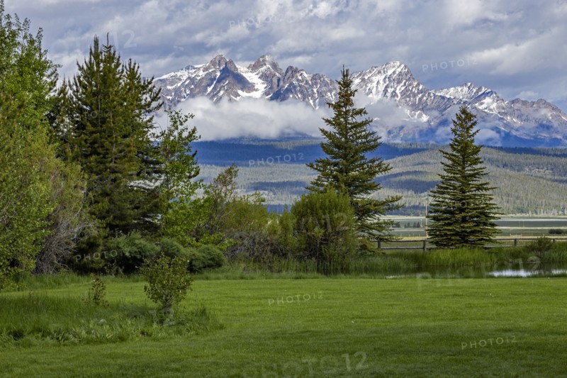 Scenic landscape with trees and Sawtooth Mountains