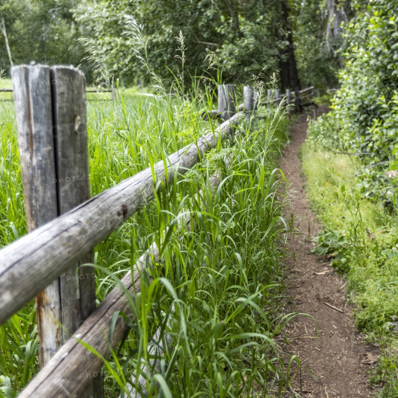 Empty footpath next to rail fence with grass