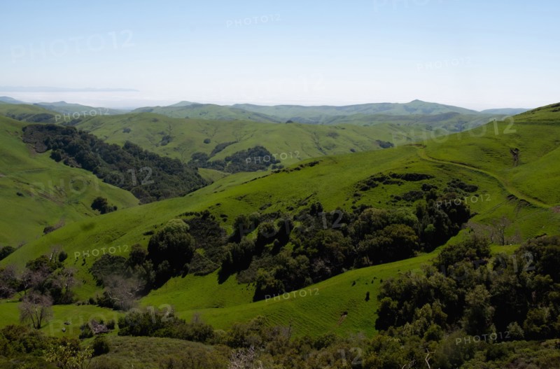 Rolling green landscape with clear sky above