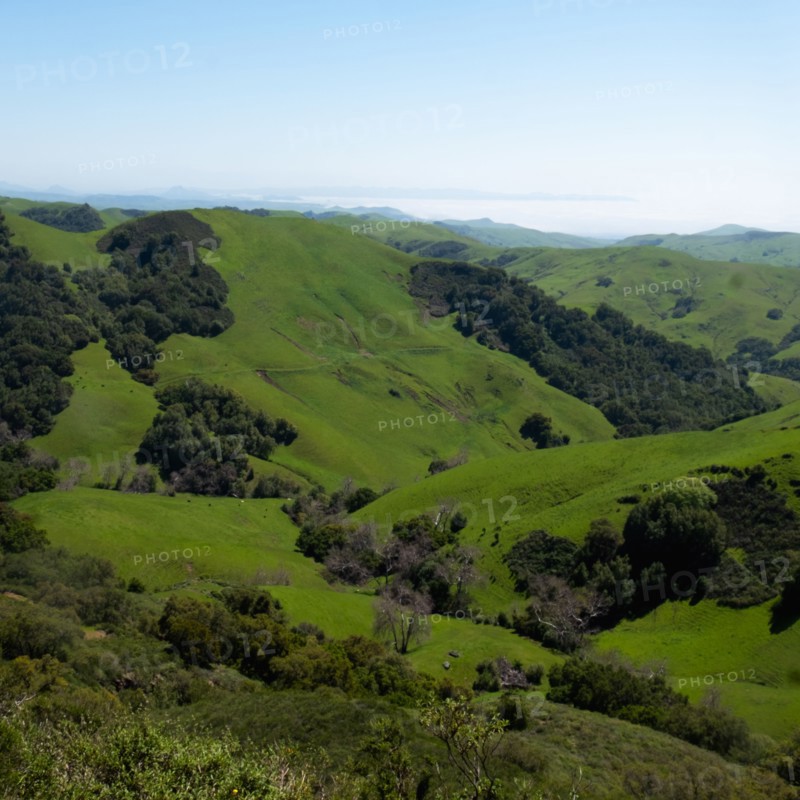 Rolling green landscape with clear sky above