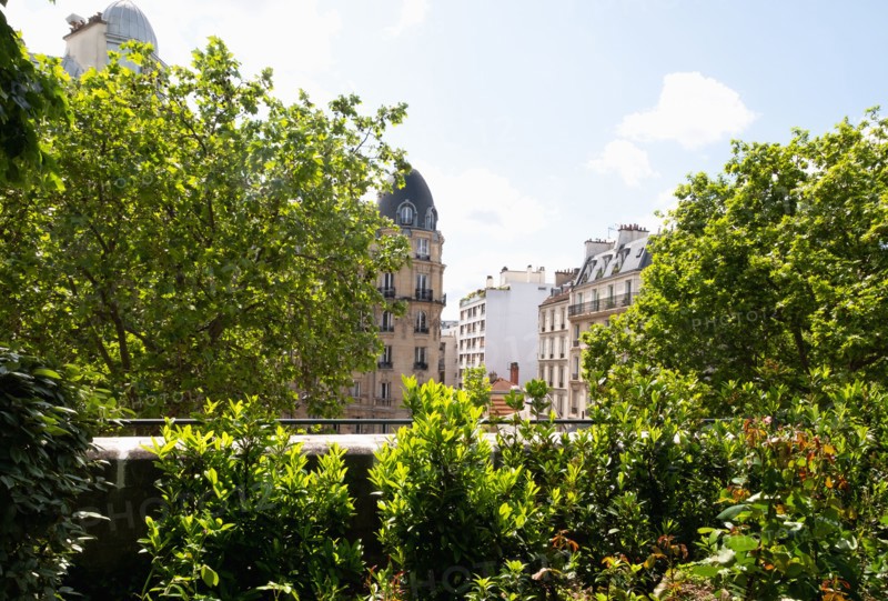Lush trees in front of buildings in city