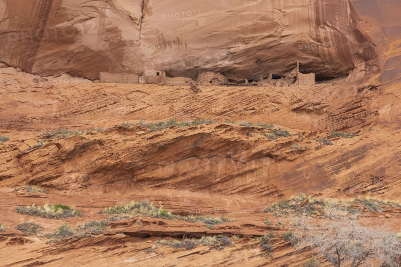 USA Arizona
