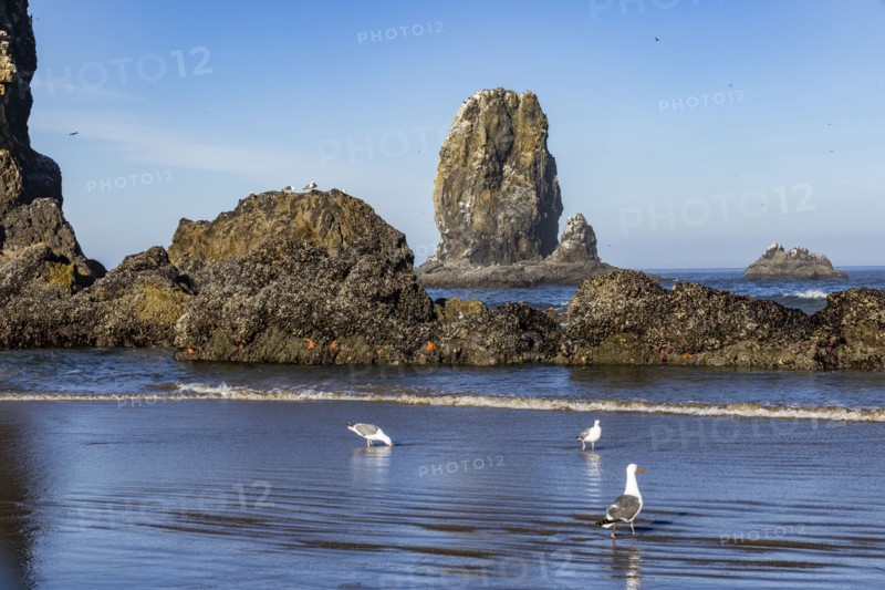 USA Oregon