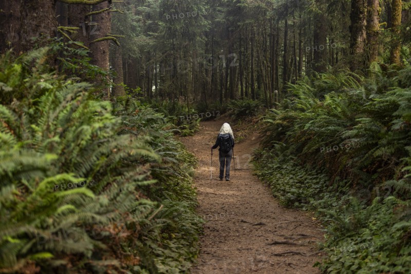 Senior woman hiking in forest with nordic walking poles