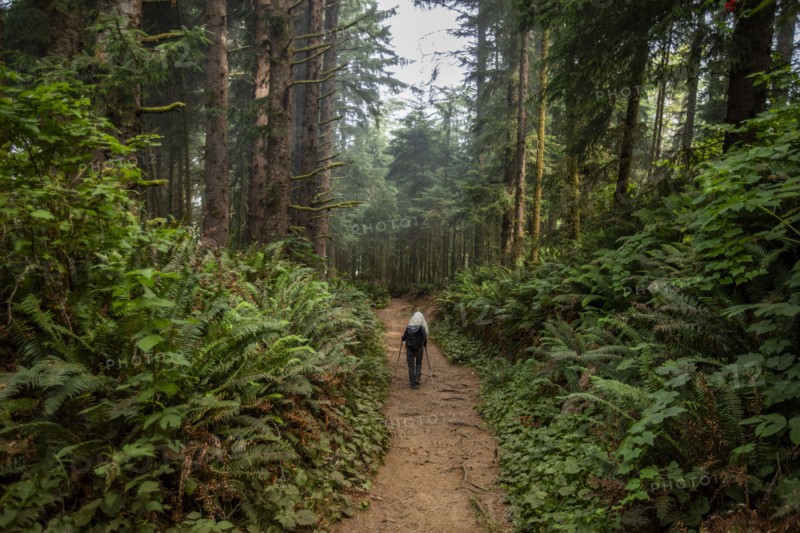 Senior woman hiking in forest with nordic walking poles