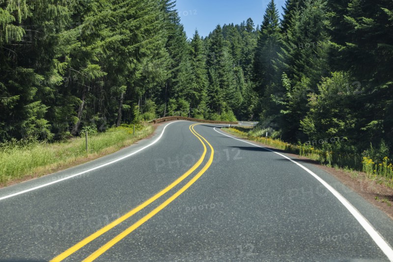 Empty road leading through forest