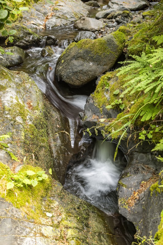 Stream flowing among rocks covered with moss