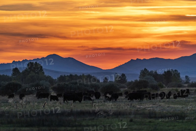USA Idaho