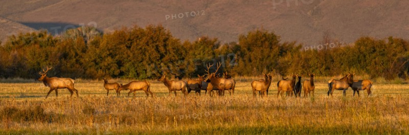 USA Idaho