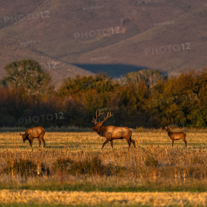 USA Idaho